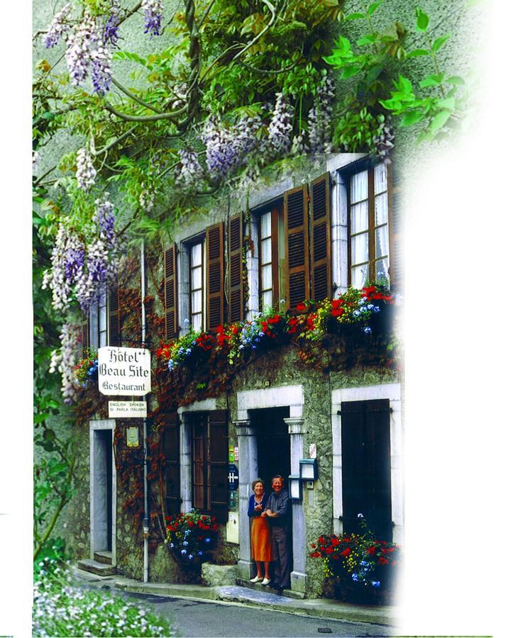 Logis Hotel Beau Site アルジュレス・ガゾスト エクステリア 写真